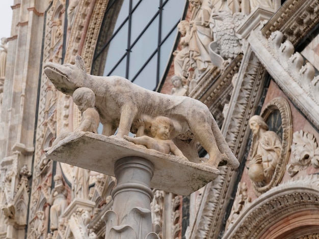 Foto het standbeeld van remus en romulus