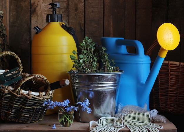 Het stilleven van het land, plaatst tuinhulpmiddelen: gieter, schop, emmer, handschoenen op de lijst. het begin van het zomerseizoen. werk in de tuin.