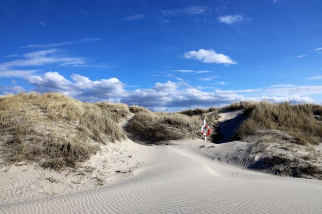 Foto het strand aan de noordzee in denemarken