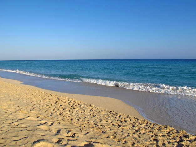 Het strand van de Caribische zee op Havana, Cuba