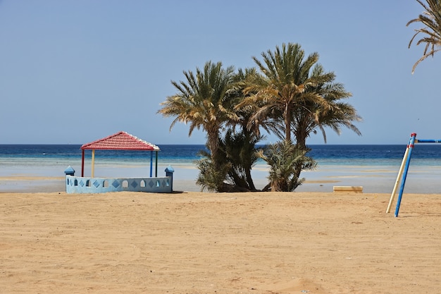 Het strand van de rode zee in saoedi-arabië