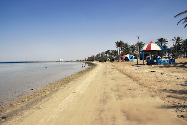 Het strand van de Rode Zee in Saoedi-Arabië