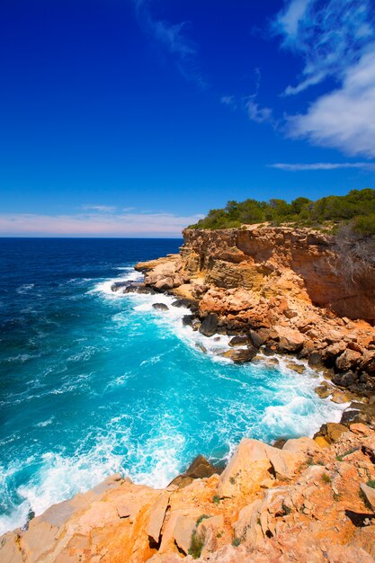 Het strand van ibiza punta de sa galera in san antonio