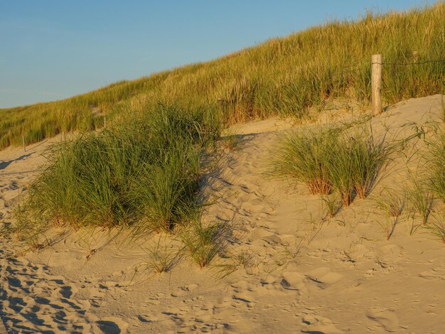 Foto het strand van langeoog.