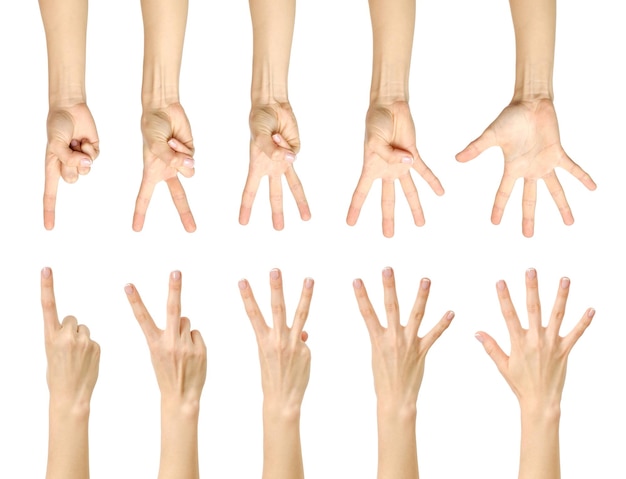 Het tellen van vrouwelijke hand met Franse manicure geïsoleerd