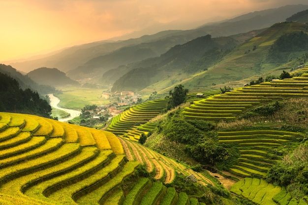 Het terrasvormige landschap van het padieveld van noord-vietnam