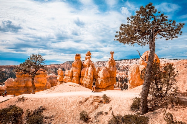 Het trekkingpad Queens Garden Trail in Bryce National Park, Utah. Verenigde Staten