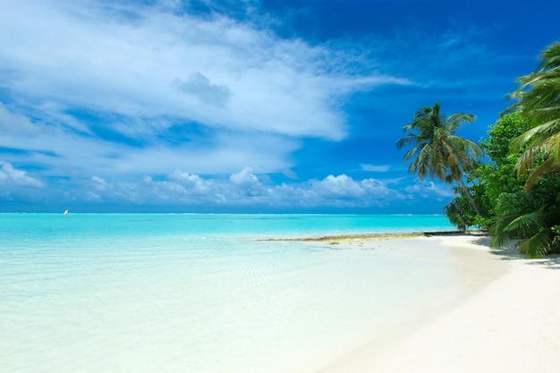 Het tropische eiland van de maldiven met wit zandig strand en overzees