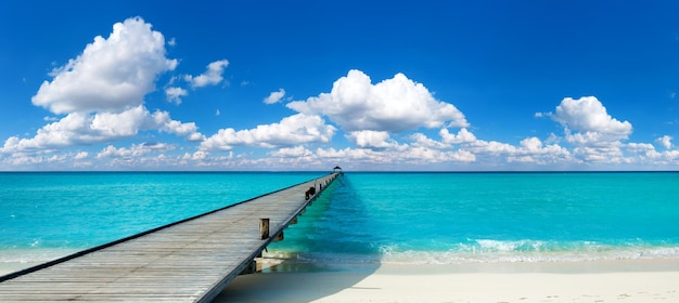 Het tropische eiland van de Maldiven met wit zandig strand en overzees