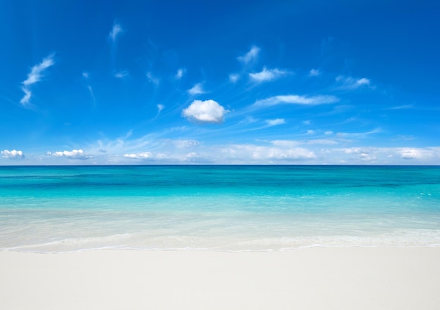 Het tropische eiland van de Maldiven met wit zandig strand en overzees