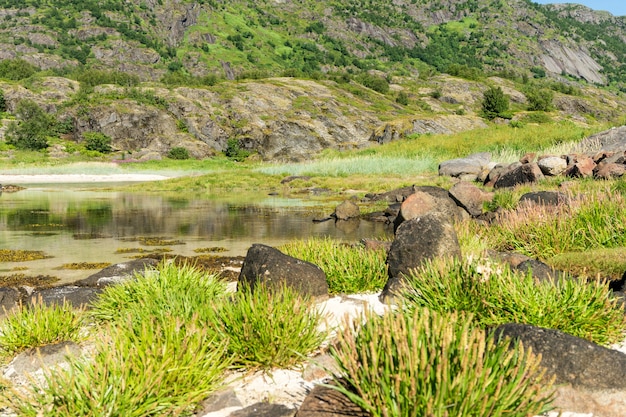 Het turquoise water van de baai, stenen en het groene gras in de zomer, Lofoten-archipel, Noorwegen