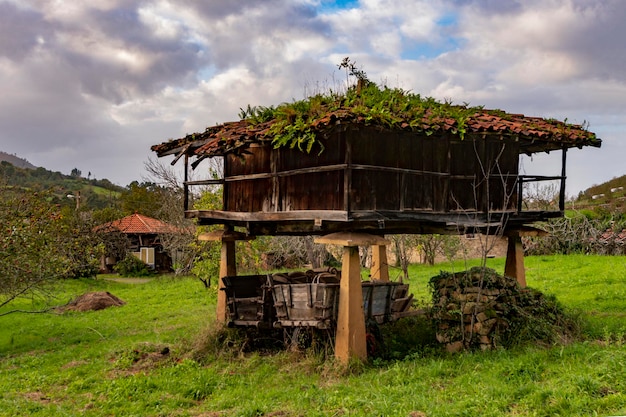 Het uitgebreide natuurreservaat Muniellos in Asturië