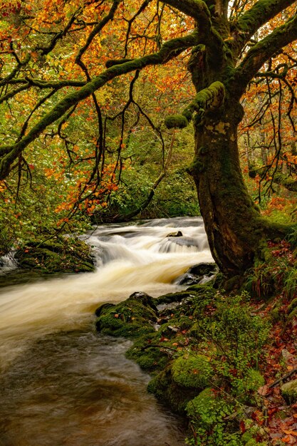 Het uitgebreide natuurreservaat Muniellos in Asturië