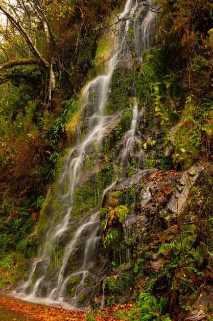 Het uitgebreide natuurreservaat Muniellos in Asturië