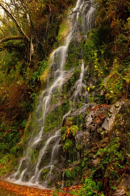 Het uitgebreide natuurreservaat muniellos in asturië