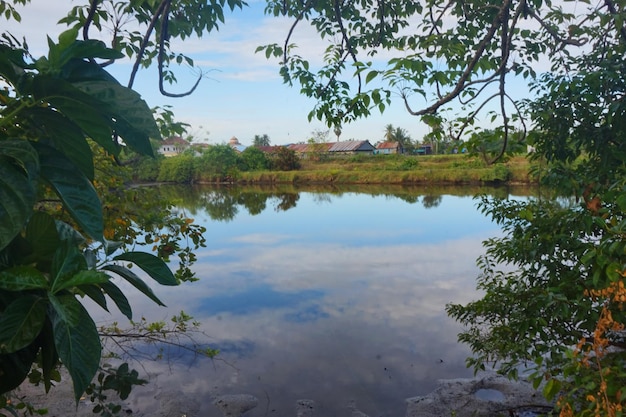 het uitzicht op de bomen en de lucht die schaduwen werpt op het water