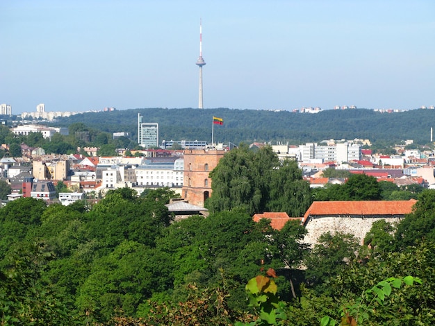 Het uitzicht op de stad vilnius, litouwen