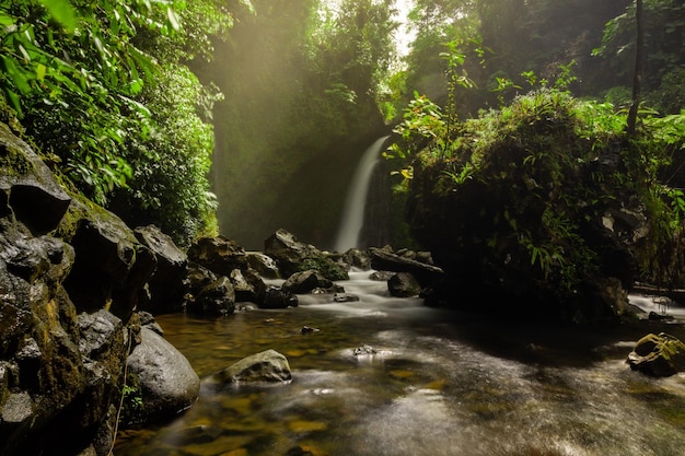Het uitzicht op de waterval in de ochtend is gehuisvest in het tropische woud van Indonesië
