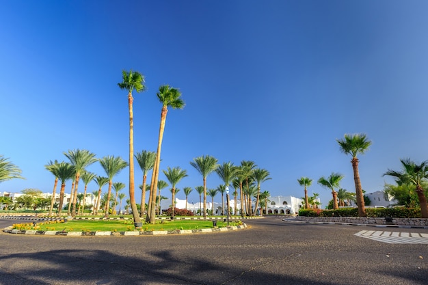 Het uitzicht op de weg en palmbomen in de buurt van de hotels