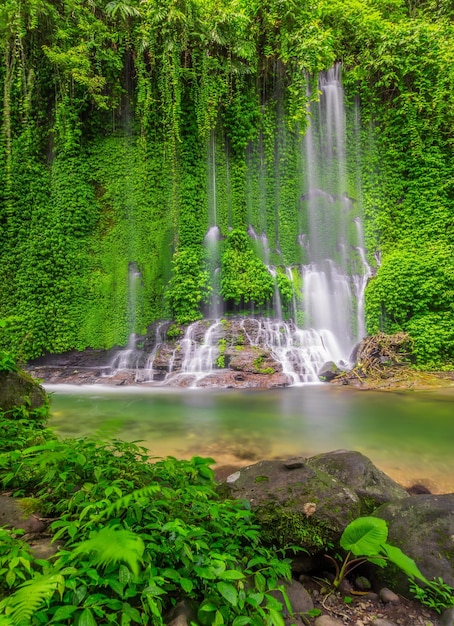 Het uitzicht op een waterval in een groen en verfrissend tropisch bos