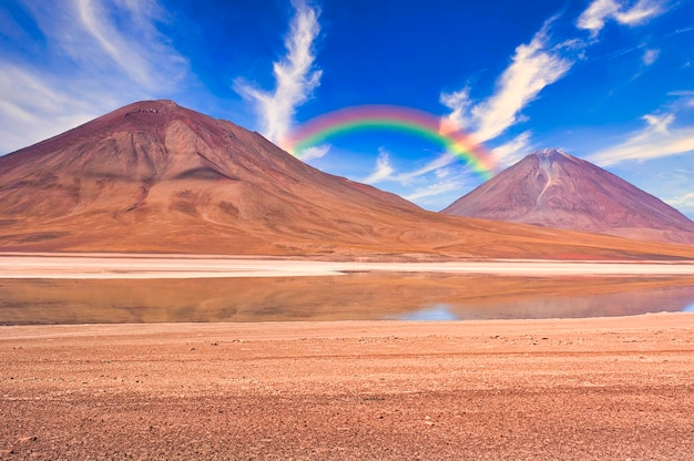 Het verlaten land van de altiplano vlakte