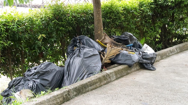 Het verzamelde vuilnis wordt in de zwarte plastic zak onder de boom gelegd