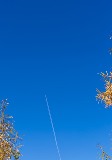 het vliegtuig vliegt in de blauwe lucht