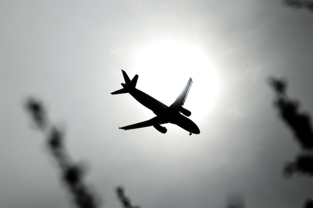 Het vliegtuig vliegt in de lucht