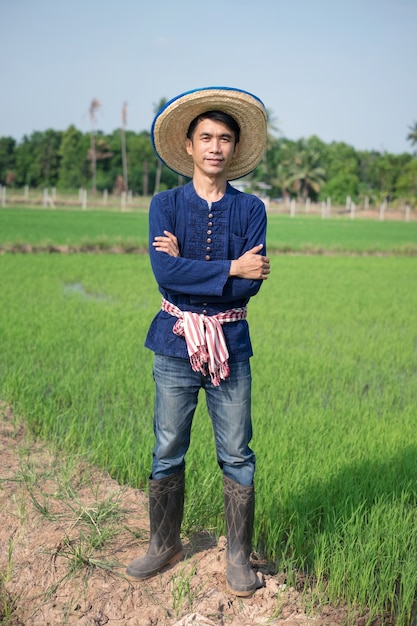 Het volledige lichaam van de aziatische boerenman draagt traditionele klederdracht, staande en gekruiste armen op een groene rijstboerderij