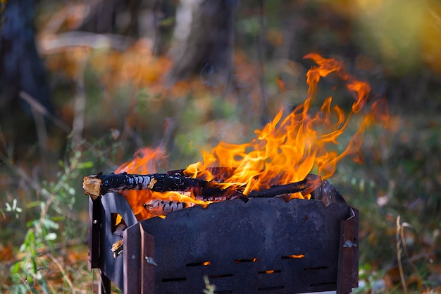 Het vuur brandt in de vuurpot tegen de achtergrond van het bos