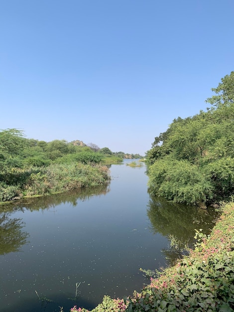 Het water is blauw van kleur.