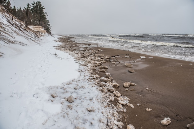 Het wilde strand van de Oostzee is besneeuwd in de winter en er zijn grote golven in de zee in Saulkrasti in Letland