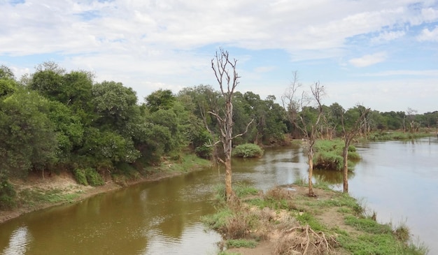 Het wildreservaat van Pilanesberg