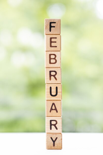 Het woord februari op houten kubussen Ze liggen op andere kubussen tegen de achtergrond van de zomertuin Maand van het jaar