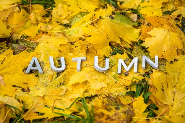 Het woord HERFST gelegd met grijze letters op de grond met esdoornbladeren