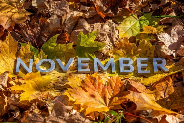 Het woord november legde met metalen letters over gele herfst gevallen bladeren close-up met selectieve focus