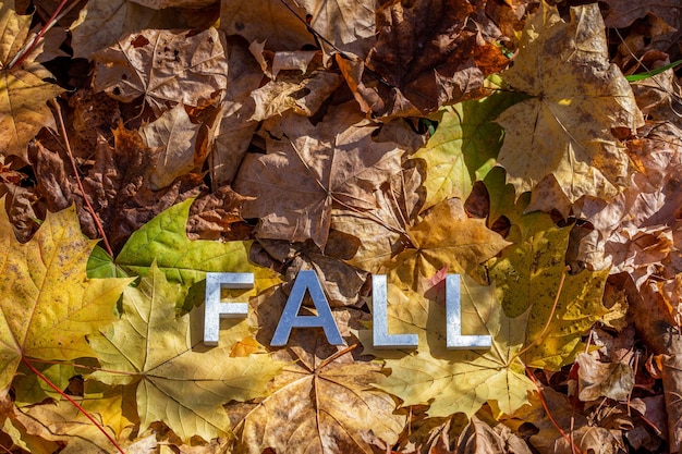 Het woord vallen gelegd met metalen letters over gele herfst gevallen bladeren close-up met selectieve focus