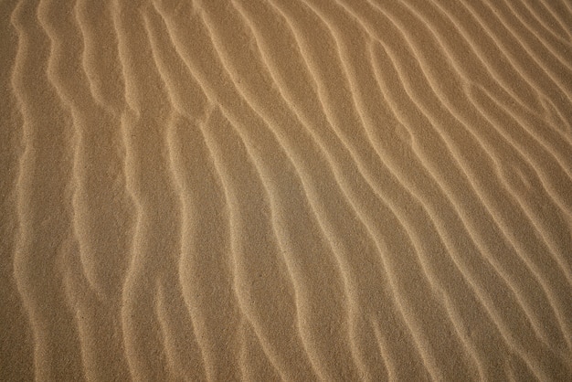 Het zandtextuur van duinen in Costa Dorada