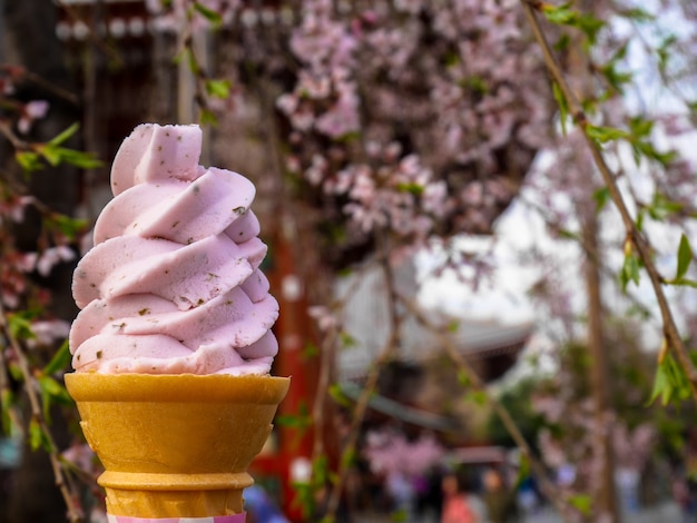 Het zoete roze zachte sakura Japanse ijs dient kegel