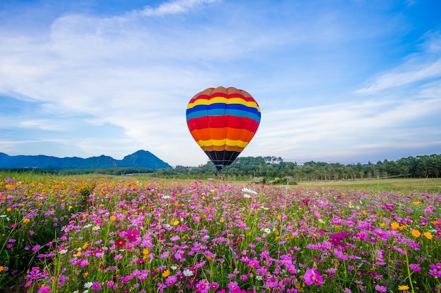 Hete luchtballon die over de gebieden van kosmosbloemen vliegt