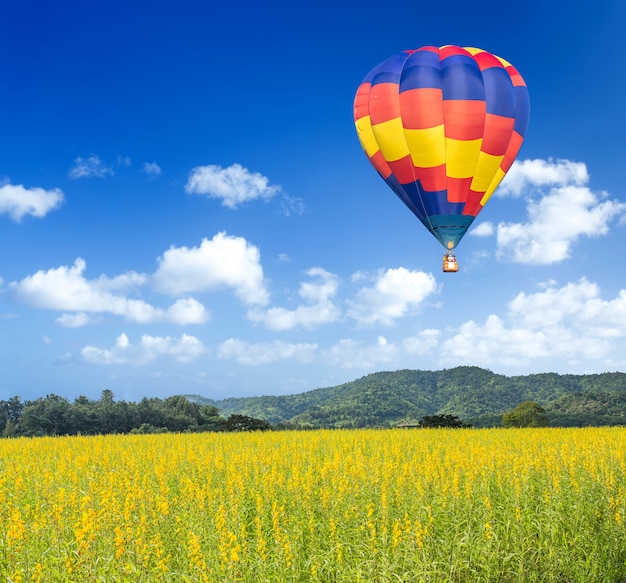 Hete luchtballon over gele bloembollenvelden met berg en blauwe hemelachtergrond