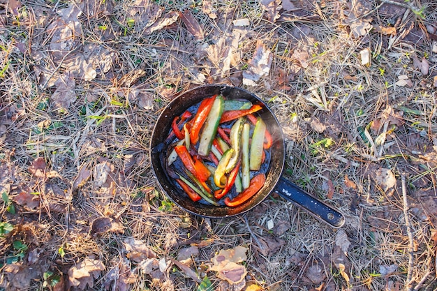 Hete pan met een schotel van rode pepers en groene komkommers op het gras in het bos