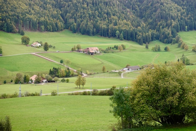 Heuvels en bossen in Zwitserland