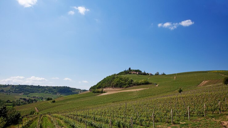 Foto heuvels en wijngaarden in piemonte, italië