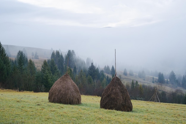 Heuvels in het bergdorp Rick droog hooi Morgen mist