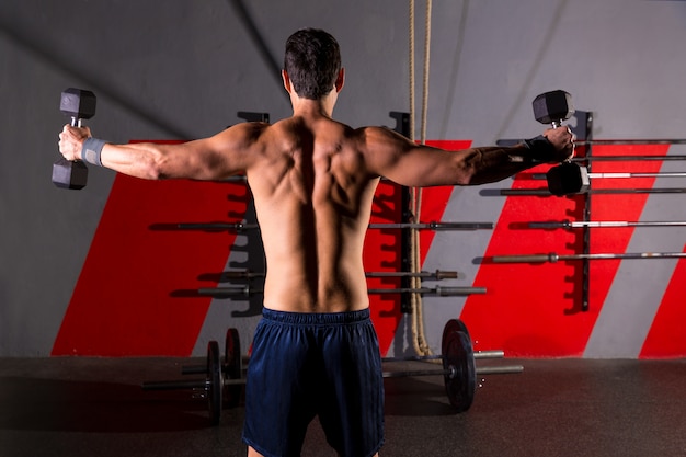 hex dumbbells man workout rear view at gym