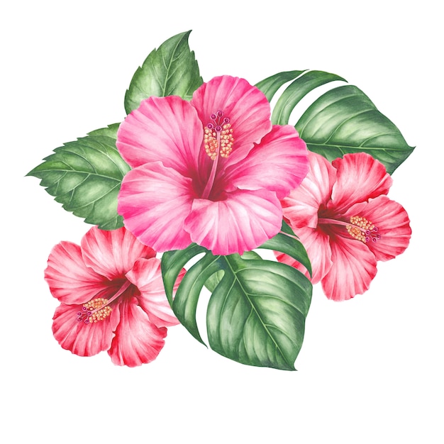 Hibiscus flowers and palm tree leaves.