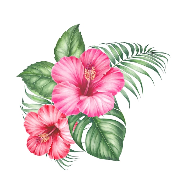 Hibiscus flowers and palm tree leaves