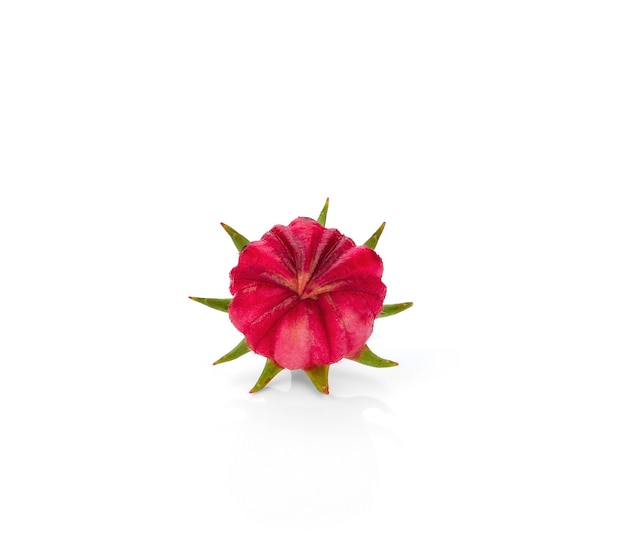 Hibiscus sabdariffa o frutti di roselle isolati