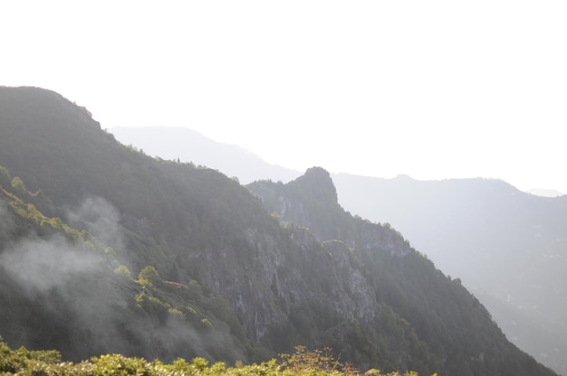 Hidirnebi Plateau located in the town of Akcaabat, 1450 - 1500 m at its height.